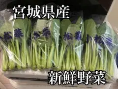 新鮮 小松菜 新鮮野菜 小松菜 1kg - メルカリ