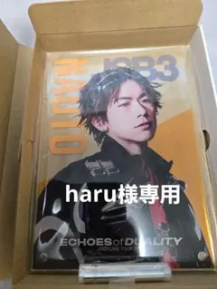 NAOTO JSB3 ECHOES of DUALITY アクリルスタンド