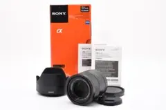 SONY Sonnar T FE 55mm F1.8 ZA 0356のサムネイル