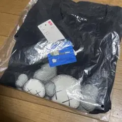 親子　カウズ UT Tシャツ　UNIQLO KAWS　 BLACK XL タグのサムネイル