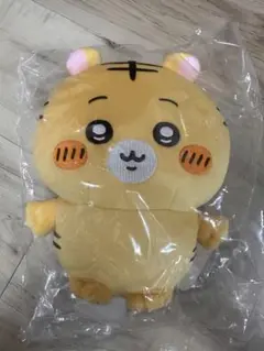 ナガノくじ　虎　C賞