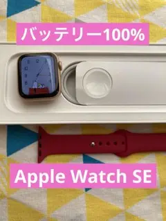 最大容量100 Apple Watch SE 初めてセット　ピンクゴールド