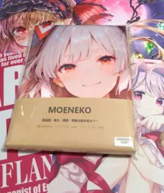 Item thumbnail for item 8d04b5b1-d14e-4f71-8741-0bd63438af5a