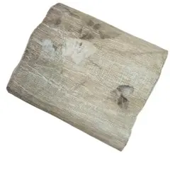 kouちゃん様 リクエスト 2点 まとめ商品