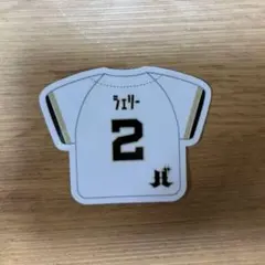 未使用 オリックス バファローズ ニックネーム カンバッジ 渡部遼人