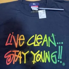 STUSSY ツイストガール 熊本チャプト15年アニバーサリー Tシャツ