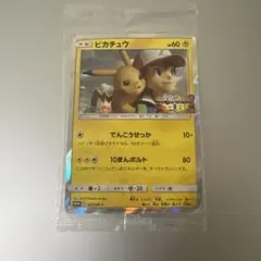 2026年最新】 風といっしょに ピカチュウの人気アイテム - メルカリ