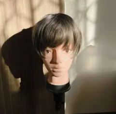 ファッションウィッグ