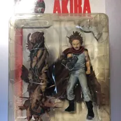 AKIRA TETSUO