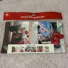 東京ディズニーリゾート トータリーミニーマウス 巾着セット ディズニー ミニー