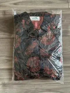 Item thumbnail for item bc4409d3-a2f7-4e92-a974-409a9cdbde5c