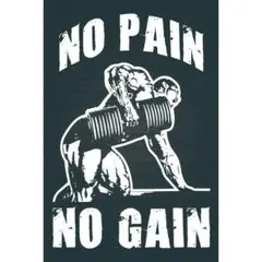 新品 NO PAIN NO GAIN 筋トレ ジム モチベーション 縦型 ブリキ