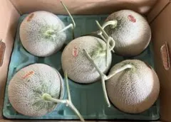 1箱限定冷蔵便】夕張メロン個選品3玉 超特大1玉3kg前後※掲載は関東価格