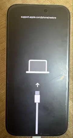 【ジャンク】iPhone 15 本体