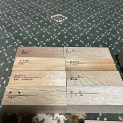 木材サンプルセット（カバ、トドマツ、エゾマツ、ナラ、カラマツ、ニレ、セン、タモ）