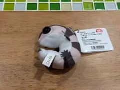 ボールチェーン付き　レオパ&ニシアフぬいぐるみ