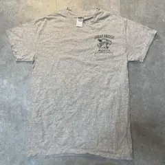 海外古着☆GILDAN GREAT BRIDGEWILDCATS Tシャツ S