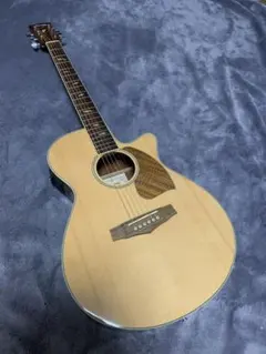 2026年最新】エレアコ IBANEZの人気アイテム - メルカリ