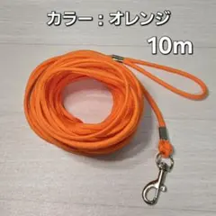 ロングリード10m【ハンドメイド】小型犬専用