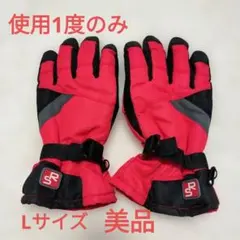 SR スキー　スノーボード　グローブ　 Lサイズ