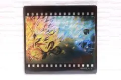 鬼滅の刃 お楽しみくじ DINING ダイニング フィルム風クリアカード 善逸