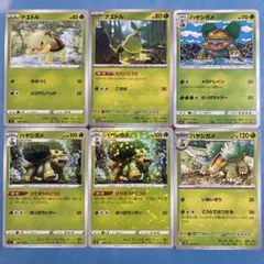ナエトル進化ラインまとめ売り 1枚〜バラ売り可（在庫19枚）