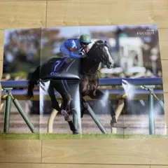 競馬ポスター2枚セット - メルカリ