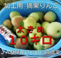 加工用　摘果りんご　大きめ　約10キロ　長野県産　生食不可　14のサムネイル