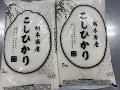 栃木県日光市産　こしひかり100%　12kg　お得　限定　こだわり　ポイント消化 栃木県日光市産 こしひかり100% 12kg お得 限定 こだわり ポイント消化