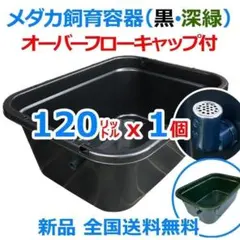 メダカ飼育ケース 120㍑x1個 黒・濃緑あり オーバーフロー 金魚 ビオトープ