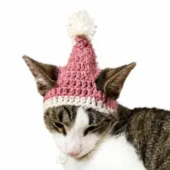 犬 猫 ペット用 とんがり帽子 被り物