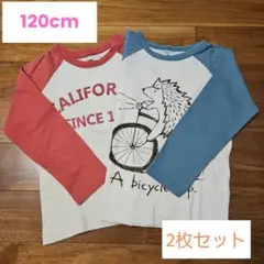 キッズ 長袖Tシャツ 2枚セット