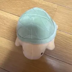 カメぬいぐるみのサムネイル