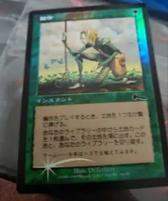 鑑定有)MTG 花を手入れする者/Bloom Tender フラクチャーfoil - メルカリ