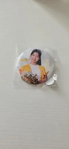 若鷹ガチャ 2026 福岡ソフトバンクホークス Honeys sou 缶バッジ