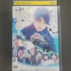 線は僕を描く　横浜流星