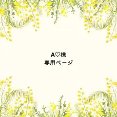 A♡様　専用ページ