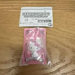 HELLO KITTY パッケージミニチュアコレクション