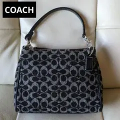 COACH コーチ アクセサリーポーチ 8132 シグネチャー／ジャガード COACH コーチ アクセサリーポーチ 8132 シグネチャー／ジャガード
