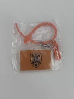 清水エスパルス マルチチャーム
