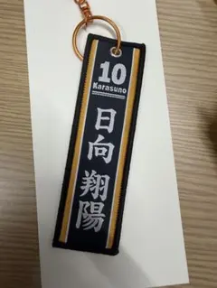 ハイキュー!!一番くじG賞　日向翔陽 10番 ストラップ