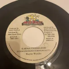 Wayne Wonder Karma Chameleon