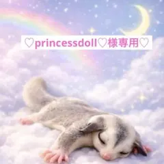 ♡princessdoll♡様専用ページ♡