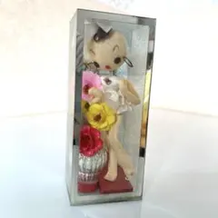 2026年最新】レトロ 人形 昭和 ガラスケースの人気アイテム - メルカリ