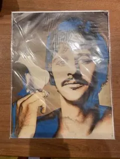 リチャードアヴェドン　ポスターフレーム付き リチャードアヴェドン ポスターフレーム付き