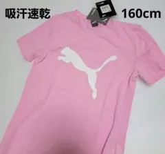 新品未使用　PUMA Tシャツ ピンク 160cm 吸汗速乾　プーマ