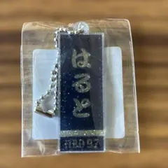 読売ジャイアンツ井上温大投手生誕祭 はるプーチャレンジ　アクリルのサムネイル