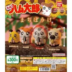 ハム太郎まちぼうけ こうしくん2個セット