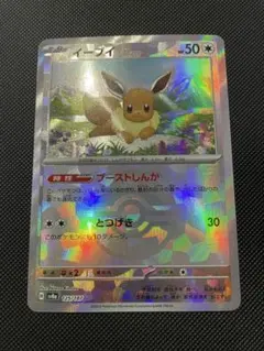 m47609688992_1.jpg?1768638975