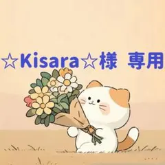 ☆Kisara☆様　専用(1/9迄)
